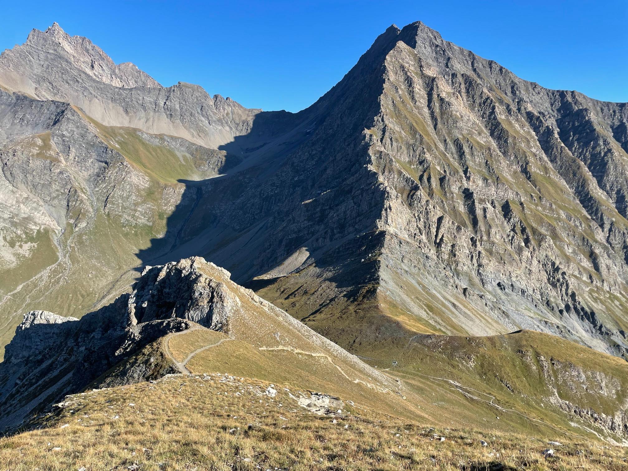 The Italian Taster hero