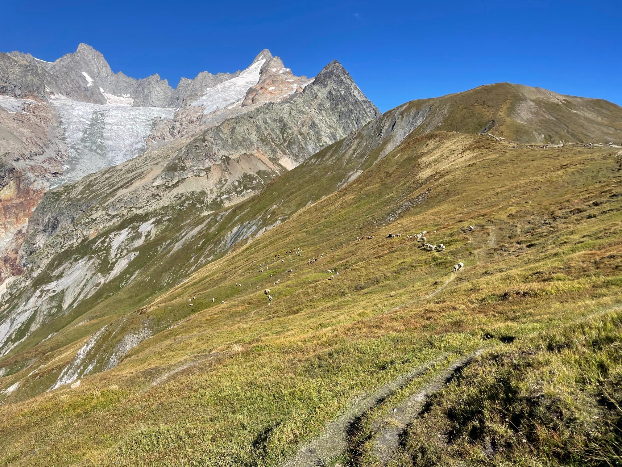 Italian Taster Stage 1